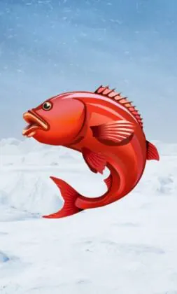 Ice Fishing